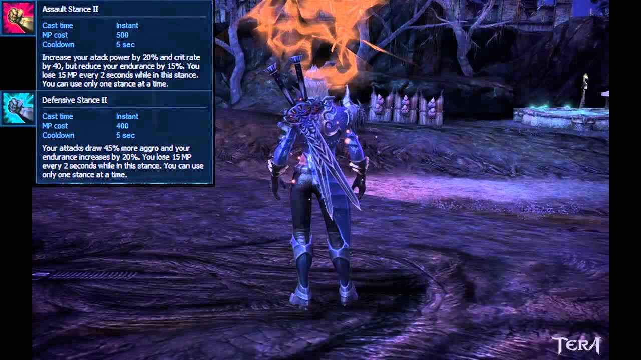 Tera human warrior idle